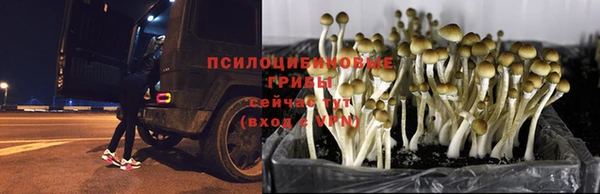 spice Заволжск