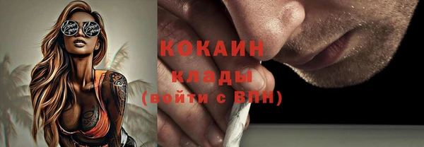 дмт Заводоуковск