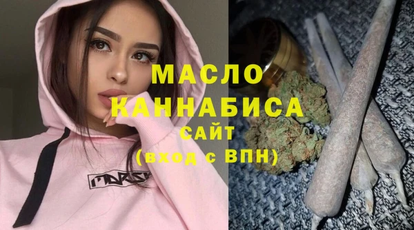 дмт Заводоуковск