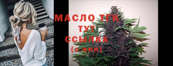 дмт Заводоуковск