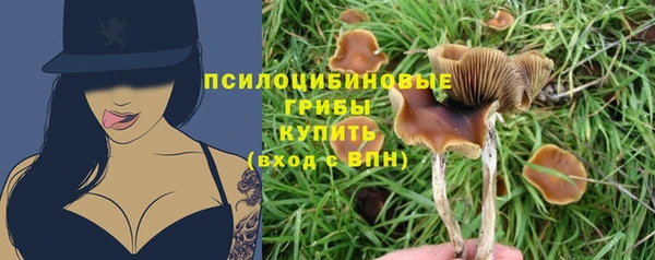 мет Елабуга
