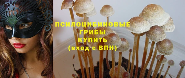 spice Заволжск