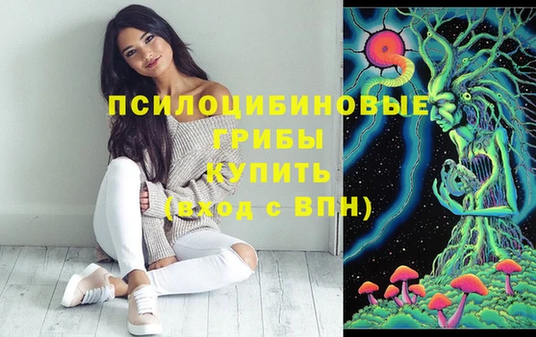 дмт Заводоуковск