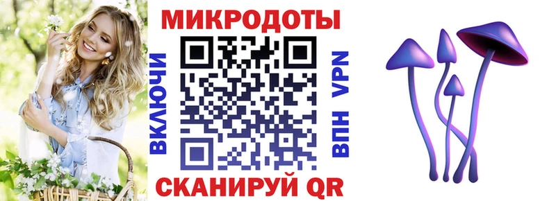 Купить где  Зеленодольск  Галлюциногенные грибы Psilocybine cubensis 